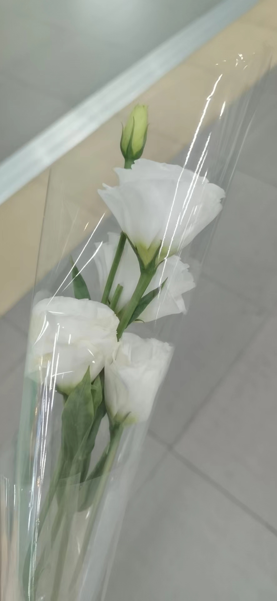 我买的白花